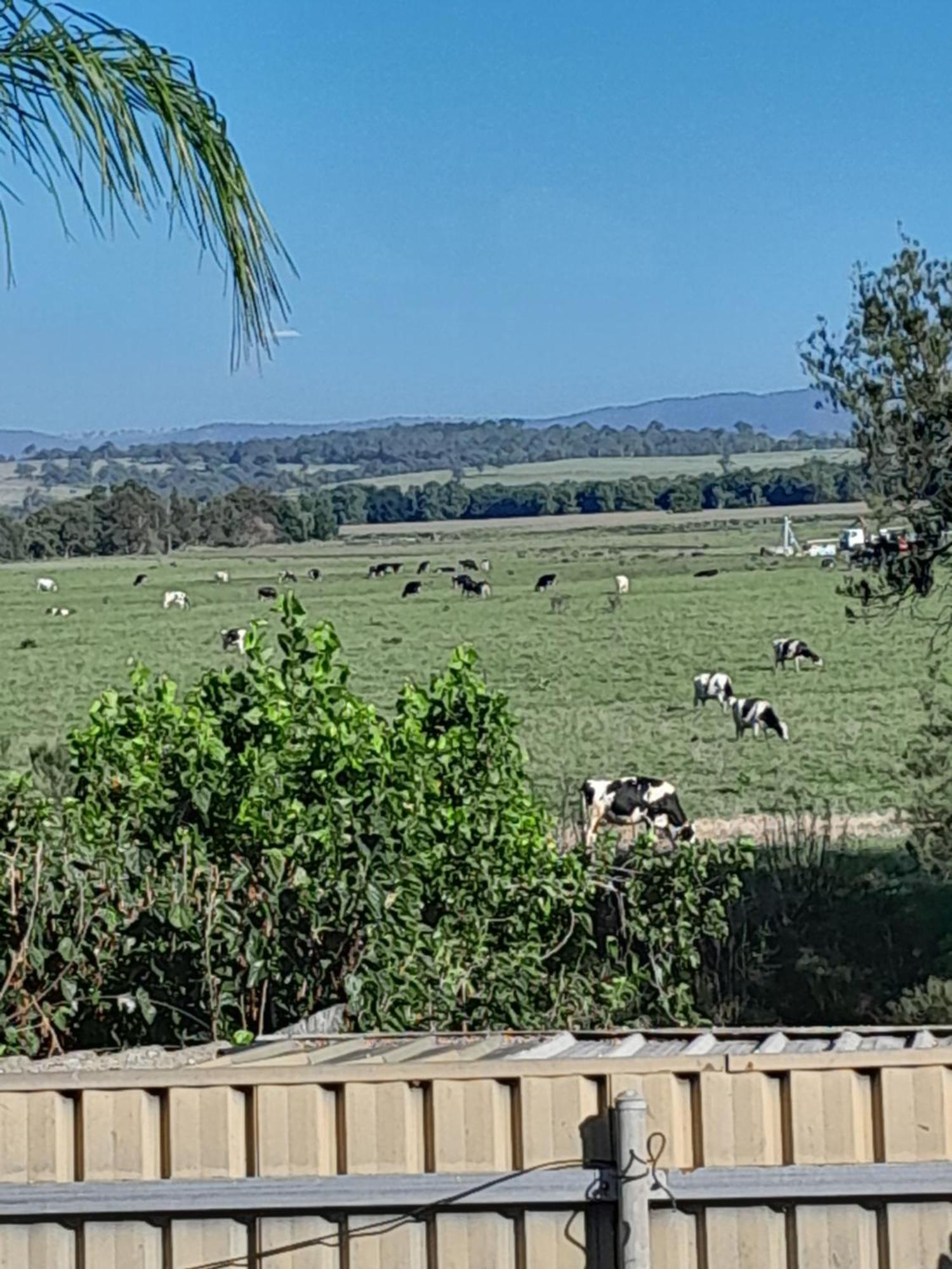 Muswellbrook Northside Bed & Breakfast Exterior foto